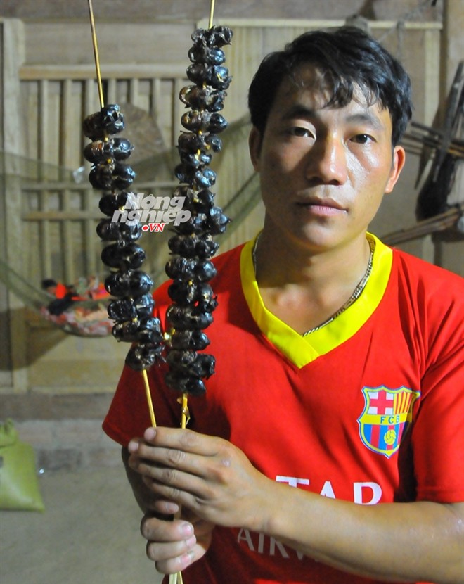 Săn[-]'tê[-]giác[-]bay'